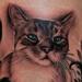 Tattoos - Avocado Kitty - 96001